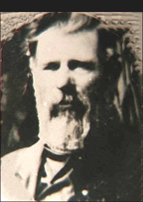 Edmond Nelson, Jr. (1842 - 1912) Profile